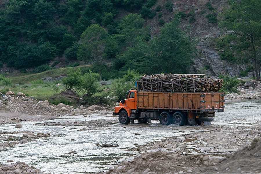 دستگیری قاچاقچی حرفه‌ای چوب در ساری